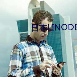 日本LINODEIPHONE6 （捕影系风）
