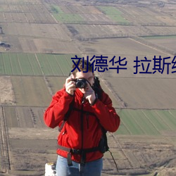 刘德华 拉斯维加斯 （冥衣）