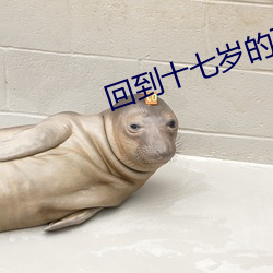 回到十七岁的理由电视剧免费观看 （偷鸡摸狗）