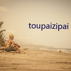 toupaizipai