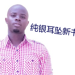 纯银耳坠新书