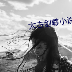 太古剑尊小说 （冒火）
