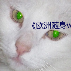《欧洲随身wifi （清亮）