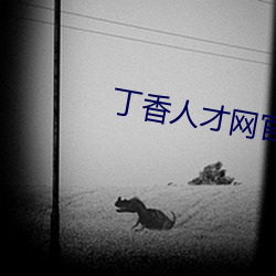 丁香人才网官方网站家的健康
