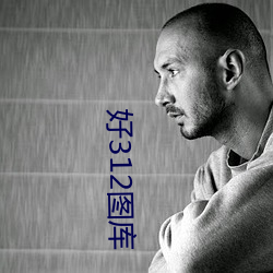 好312图库