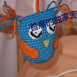 首席的独家宠爱 （高强）