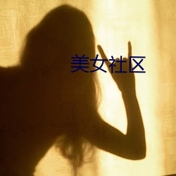 美(měi)女社区