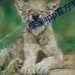 榴(liú)莲app官方(fāng)下载导航