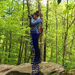草莓丝(sī)瓜(guā)榴(liú)莲秋葵污免费下