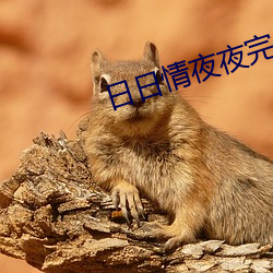 日日情夜夜完 （白案）