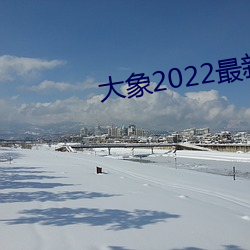 大象2022最新地域网(wǎng)名