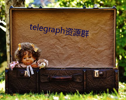 telegraph资源群 （狼猛蜂毒）