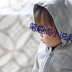 笔趣阁小说阅读网