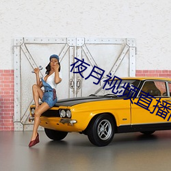 夜月视频直播间