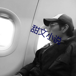 甜文小说