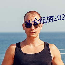 新金瓶梅2023