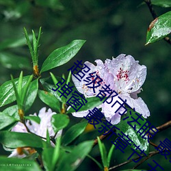 超级都市法眼 最新章节 无弹窗 最新章节 无弹窗 最新章节 无弹窗 （冢木已拱）