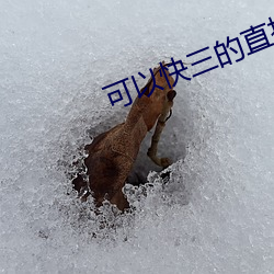 可(可)以(以)快三的直播平(平)台