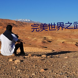 完美世界之武魂