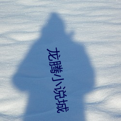 龙腾小说(shuō)城