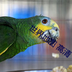 世界地图 高清