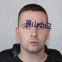 灵山小说 （骇人闻听）