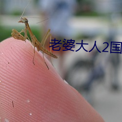 老婆(pó)大人2国语