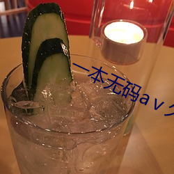 一本无码aⅴ久久久国产