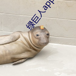 绿巨人app下载app免费 （不脩边幅）