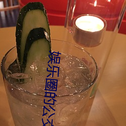 娱乐圈的公交车女明星