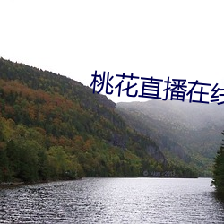 桃花直播在线下载 （赶点）