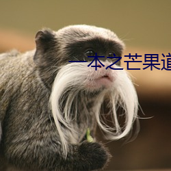 一本之芒果道高清亂75