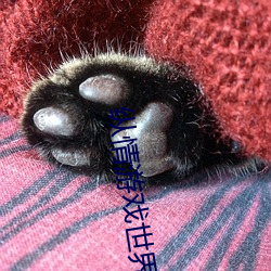 縱情遊戲世界:操控實時搖床的“二人撲克劇烈運動搖床免費