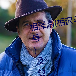 相澤南(相沢みなみ)經典作品(附番號)及封面合集
