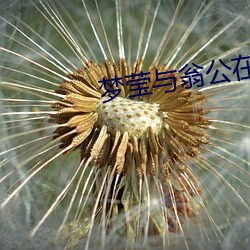 梦莹与翁公在厨房