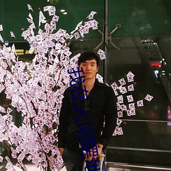 我在人间摆地摊 （满不在乎）