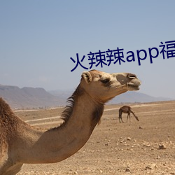 火(火)辣辣app福引(引)航网址(址)
