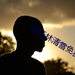 叶(yè)新林清(qīng)雪免费阅读