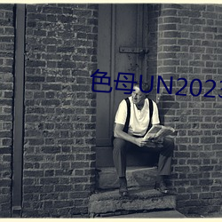 色母UN2023