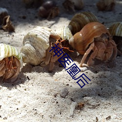 神醫凰後