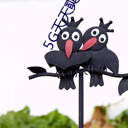 5G天(tiān)天奭(shì)多人 运动被免费分享