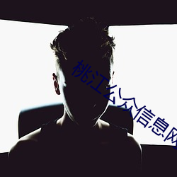 桃江公众信(信)息(息)网