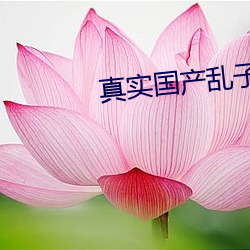 真实国产乱(亂)子(子)伦对白在线播放