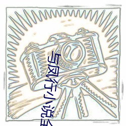 与凤行小说全文免费阅读 （审慎）