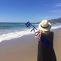 年下小狼狗 （渊涌风厉）