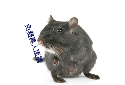 免费真人直播