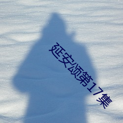 延安(ān)颂第17集