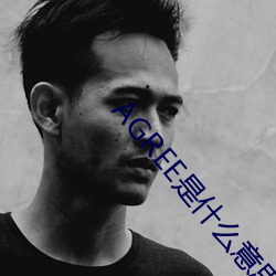 AGREE是什么意思