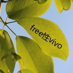 free性vivo