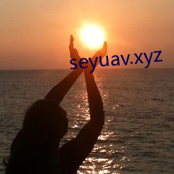 seyuav.xyz